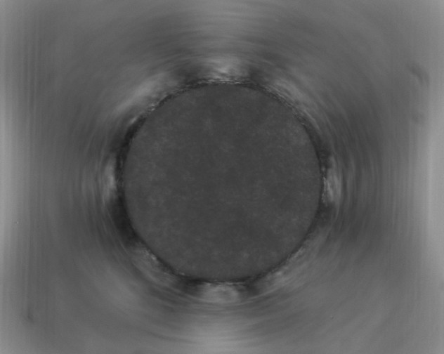 X0000114520520200911091153