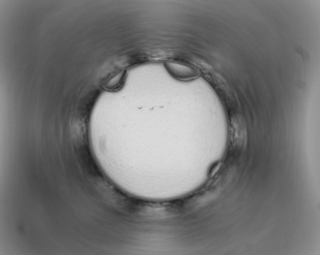 X0000114520523200911091153