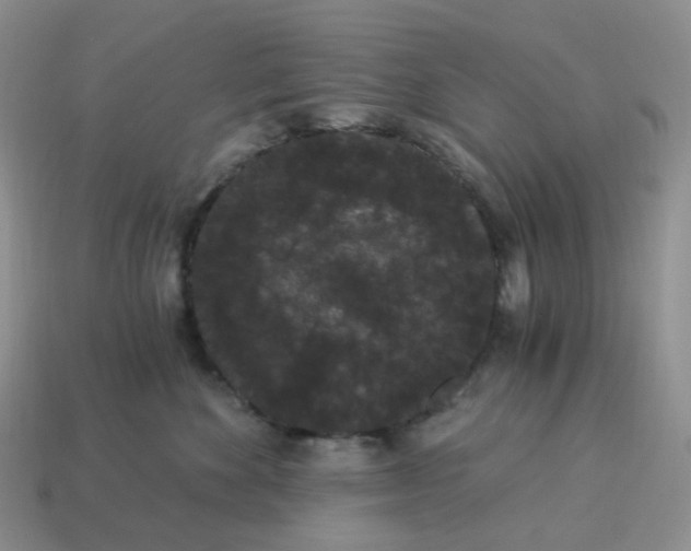 X0000114520524200911091153