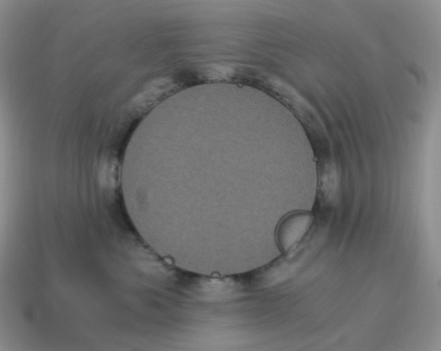 X0000114520525200911091153