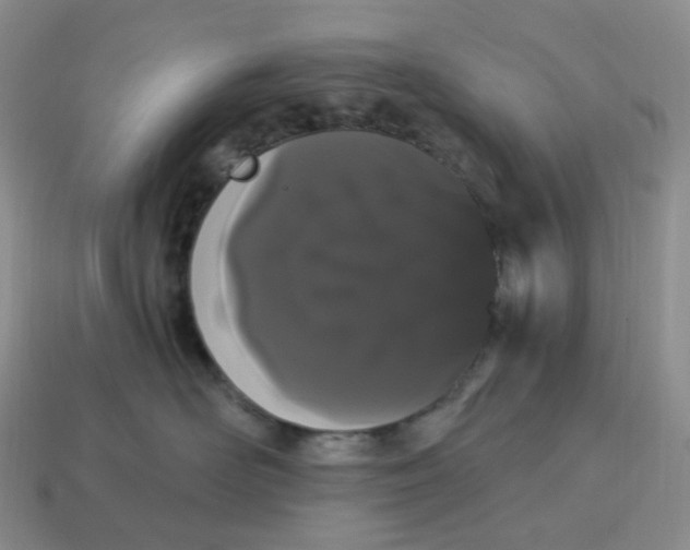 X0000114520526200911091153