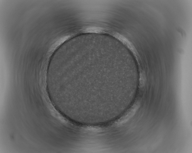 X0000114520529200911091152