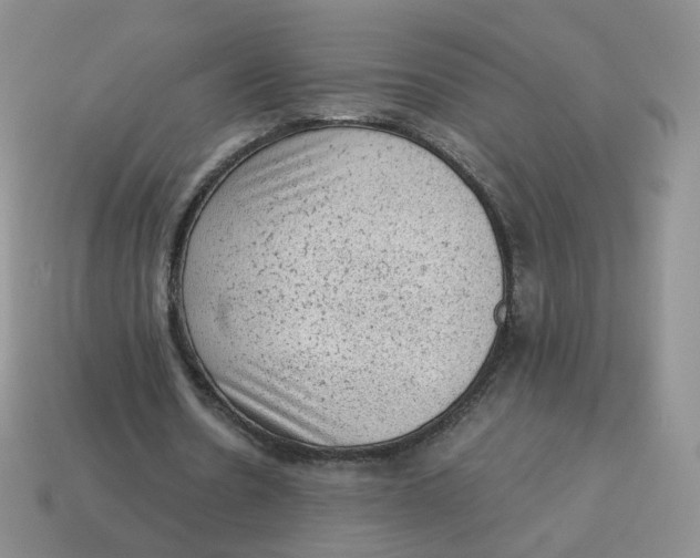 X0000114520530200911091152