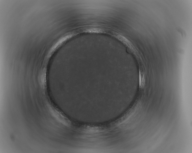 X0000114520531200911091152