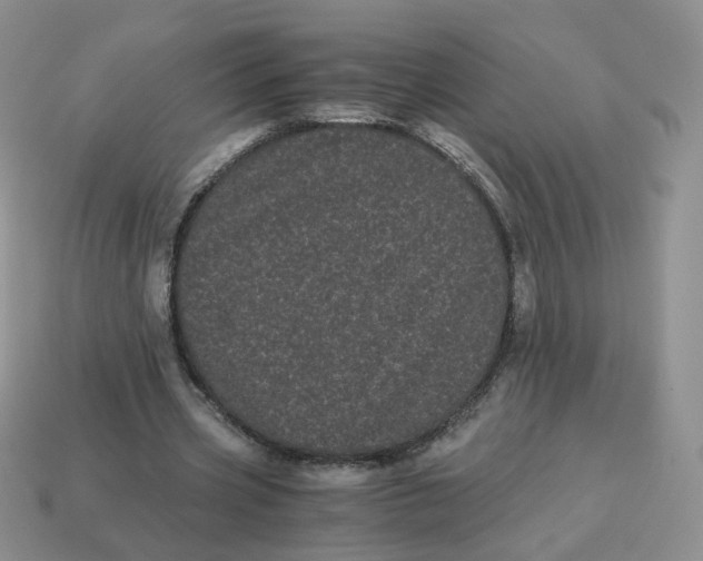 X0000114520533200911091152