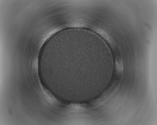 X0000114520534200911091152