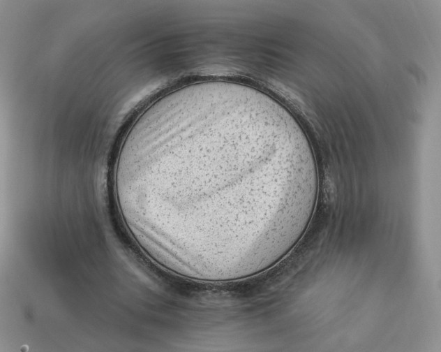 X0000114520535200911091152