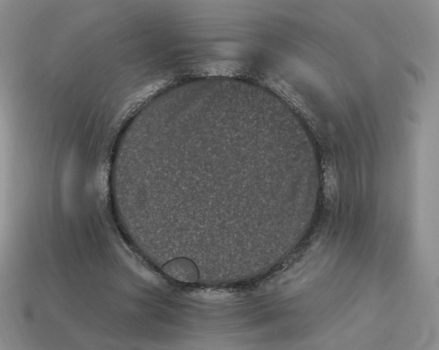 X0000114520537200911091152