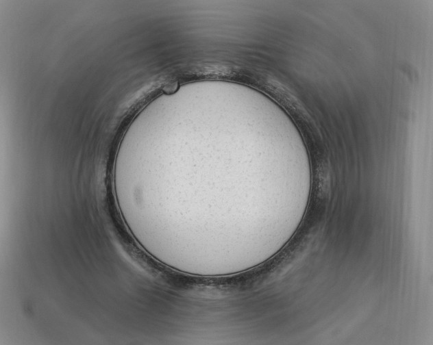 X0000114520538200911091152