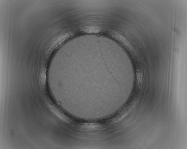 X0000114520541200911091152