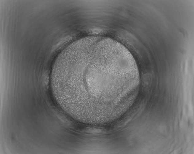 X0000114520545200911091152