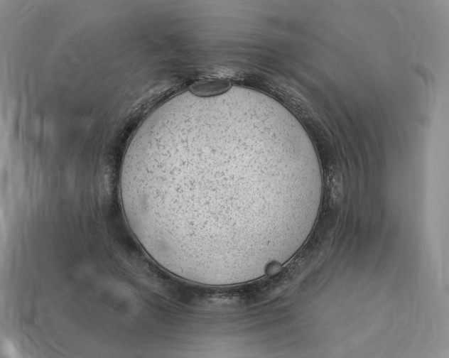 X0000114520546200911091152