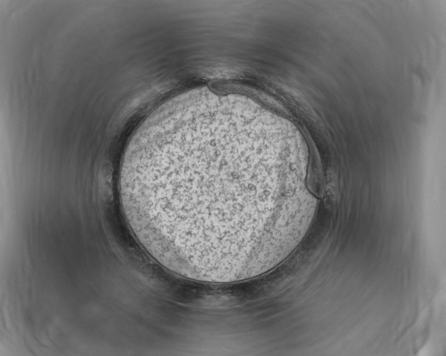 X0000114520547200911091152