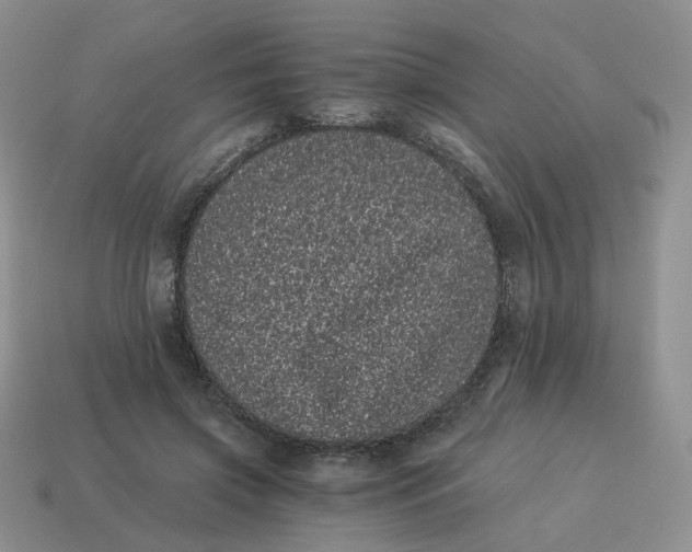 X0000114520549200911091152