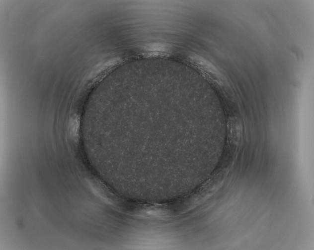 X0000114520550200911091152