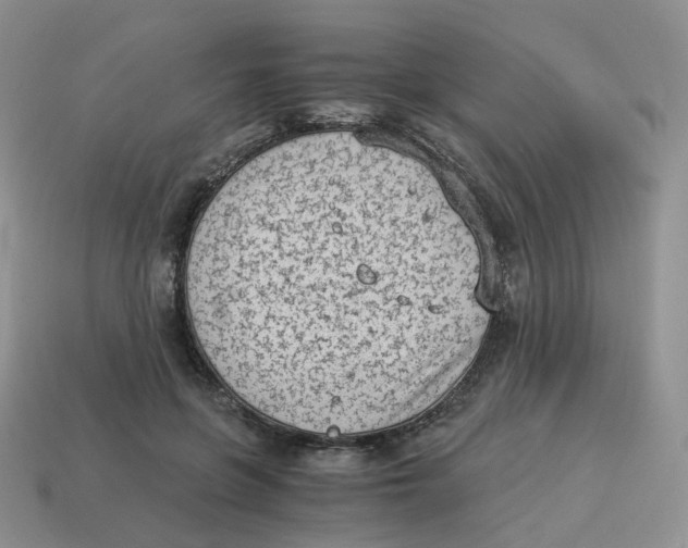 X0000114520551200911091153