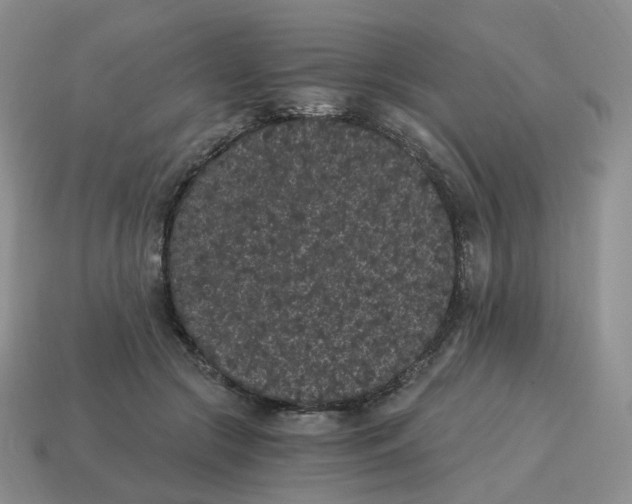 X0000114520553200911091153