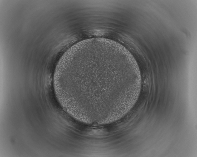 X0000114520555200911091153