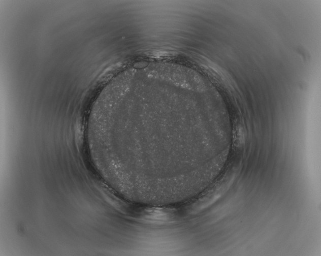 X0000114520558200911091153