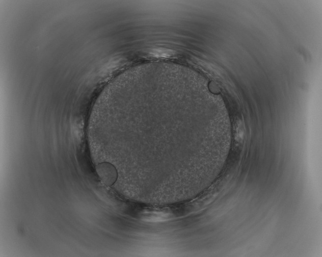 X0000114520559200911091153