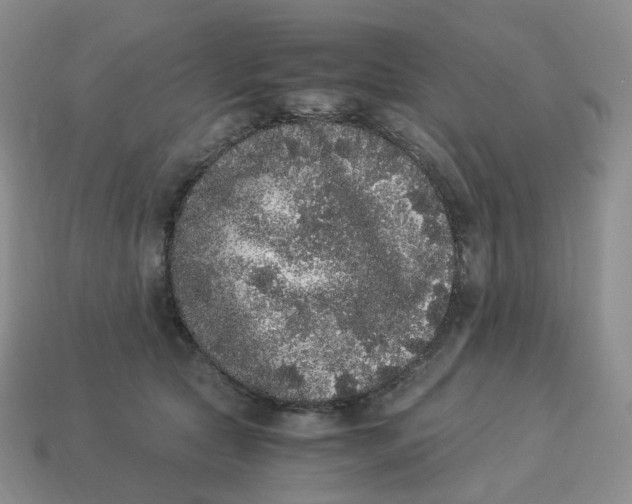 X0000114520561200911091153