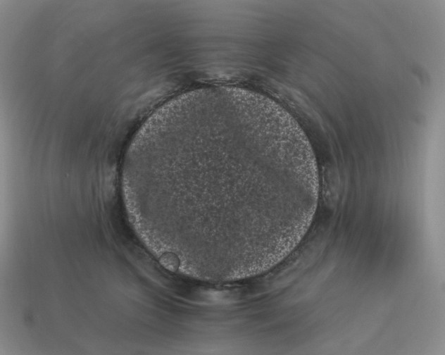 X0000114520563200911091153