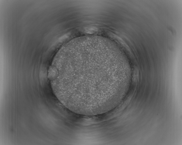 X0000114520569200911091153