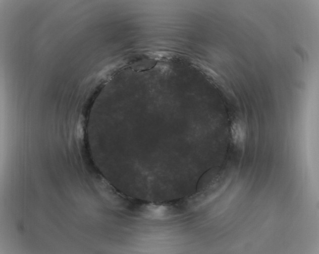 X0000114520570200911091153