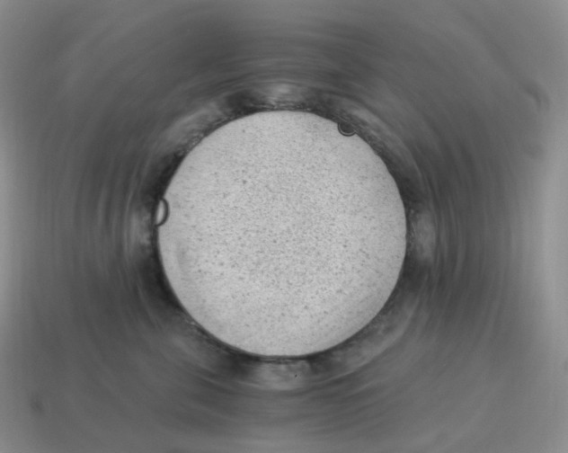 X0000114520571200911091153