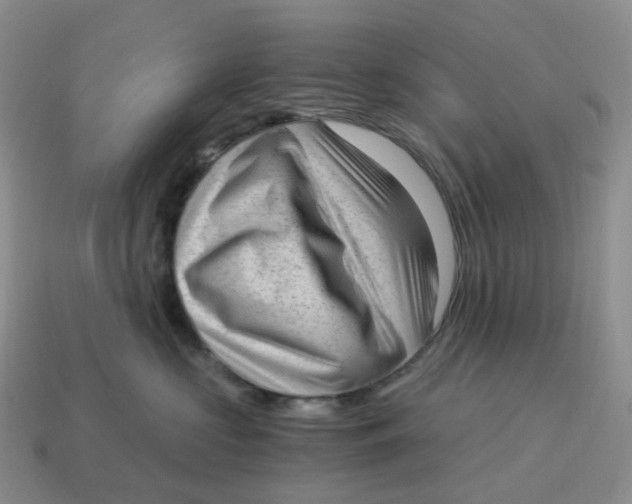 X0000114520573200911091153