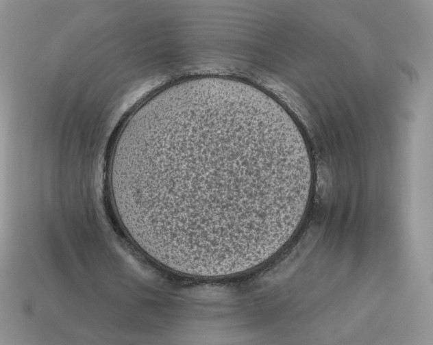 X0000114520578200911091152