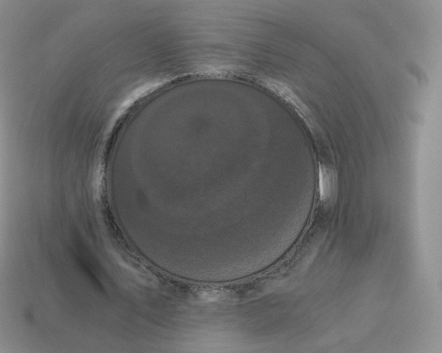 X0000114520579200911091152