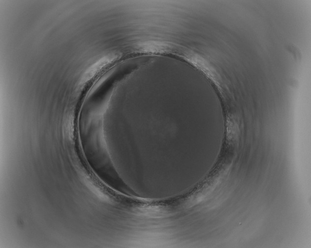 X0000114520581200911091152