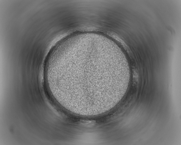 X0000114520582200911091152