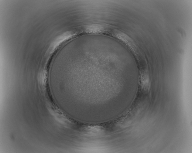 X0000114520583200911091152