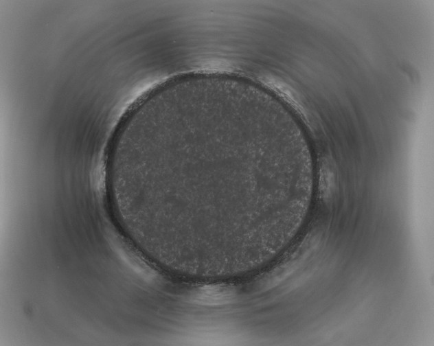 X0000114520584200911091152