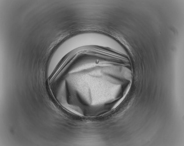 X0000114520585200911091152