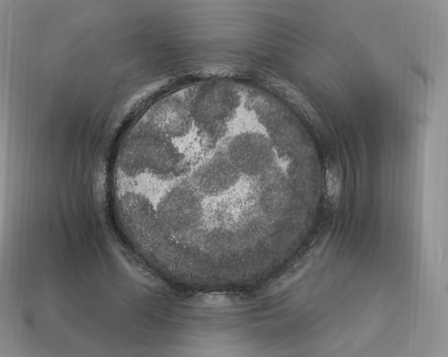 X0000114520588200911091152