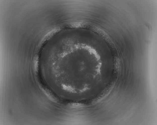 X0000114520590200911091152