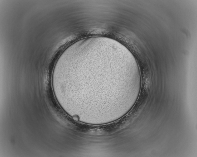 X0000114520591200911091152