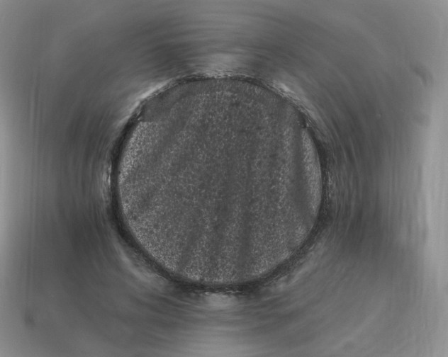 X0000114520592200911091152