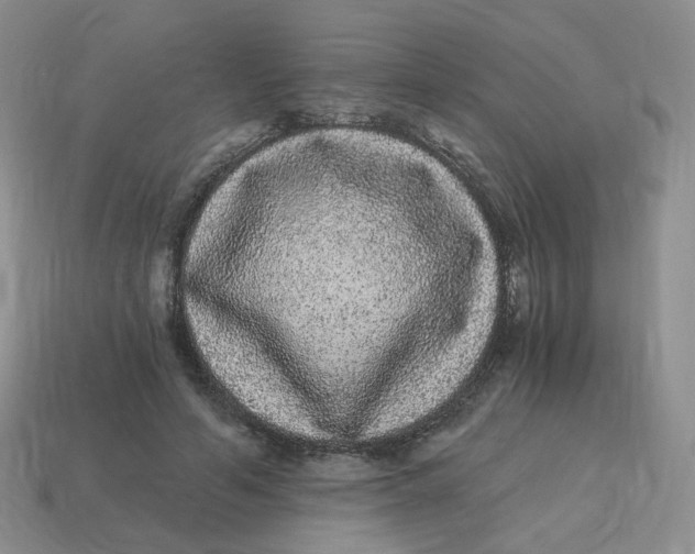 X0000114520594200911091152