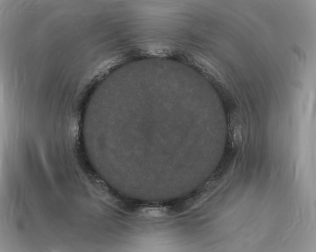 X0000114520595200911091152