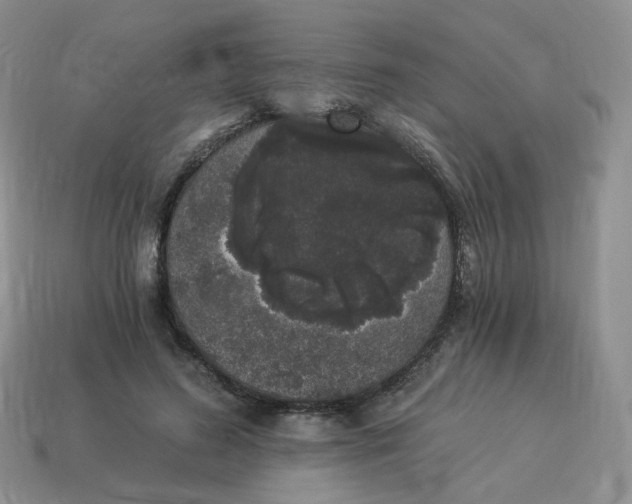 X0000114520596200911091152