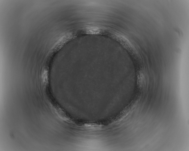 X0000114520598200911091152