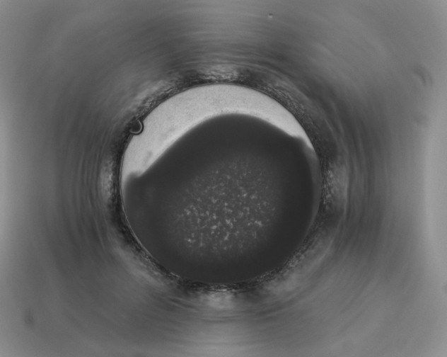 X0000114520600200911091152