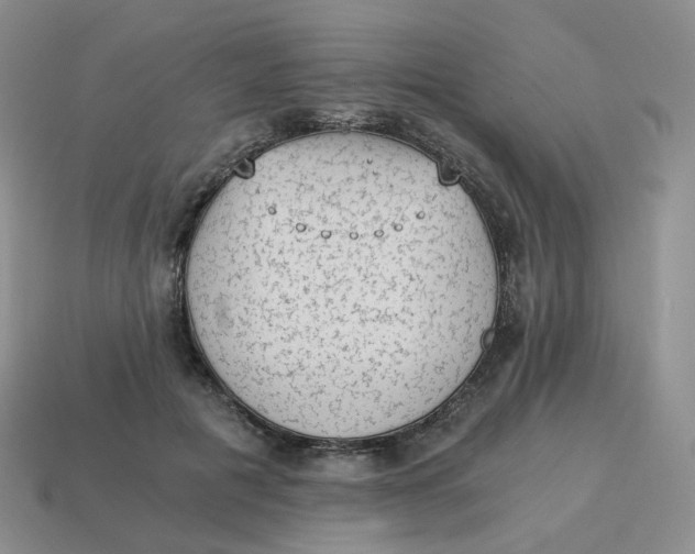 X0000114520601200911091152