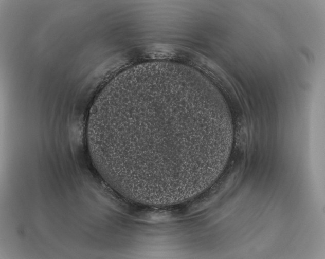 X0000114520604200911091152