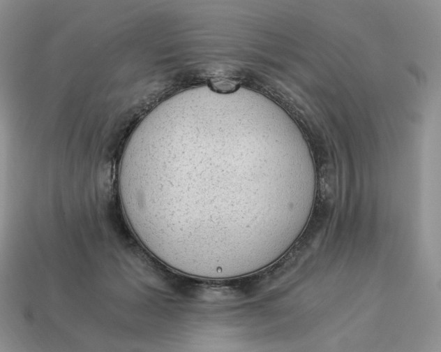 X0000114520605200911091152