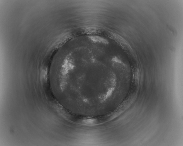 X0000114520610200911091152